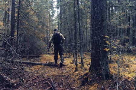 Купить диплом Егеря, лесника в Пятигорске